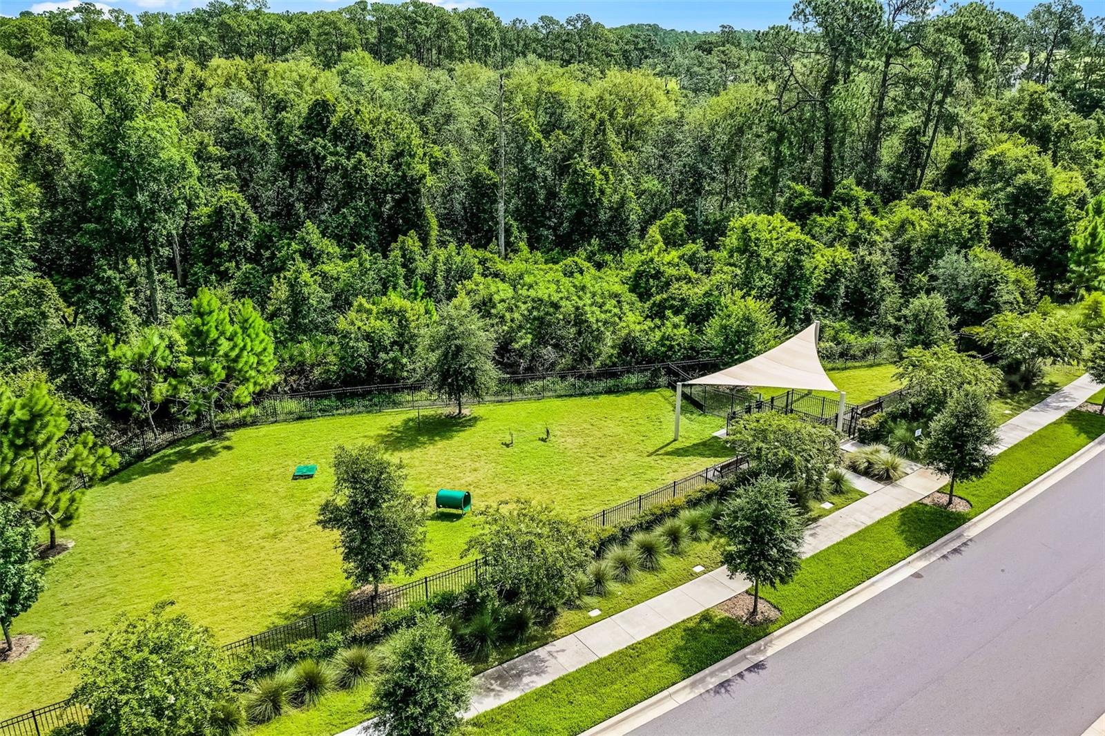 17434 Honeybell Tangelo Ct Property Photo 45