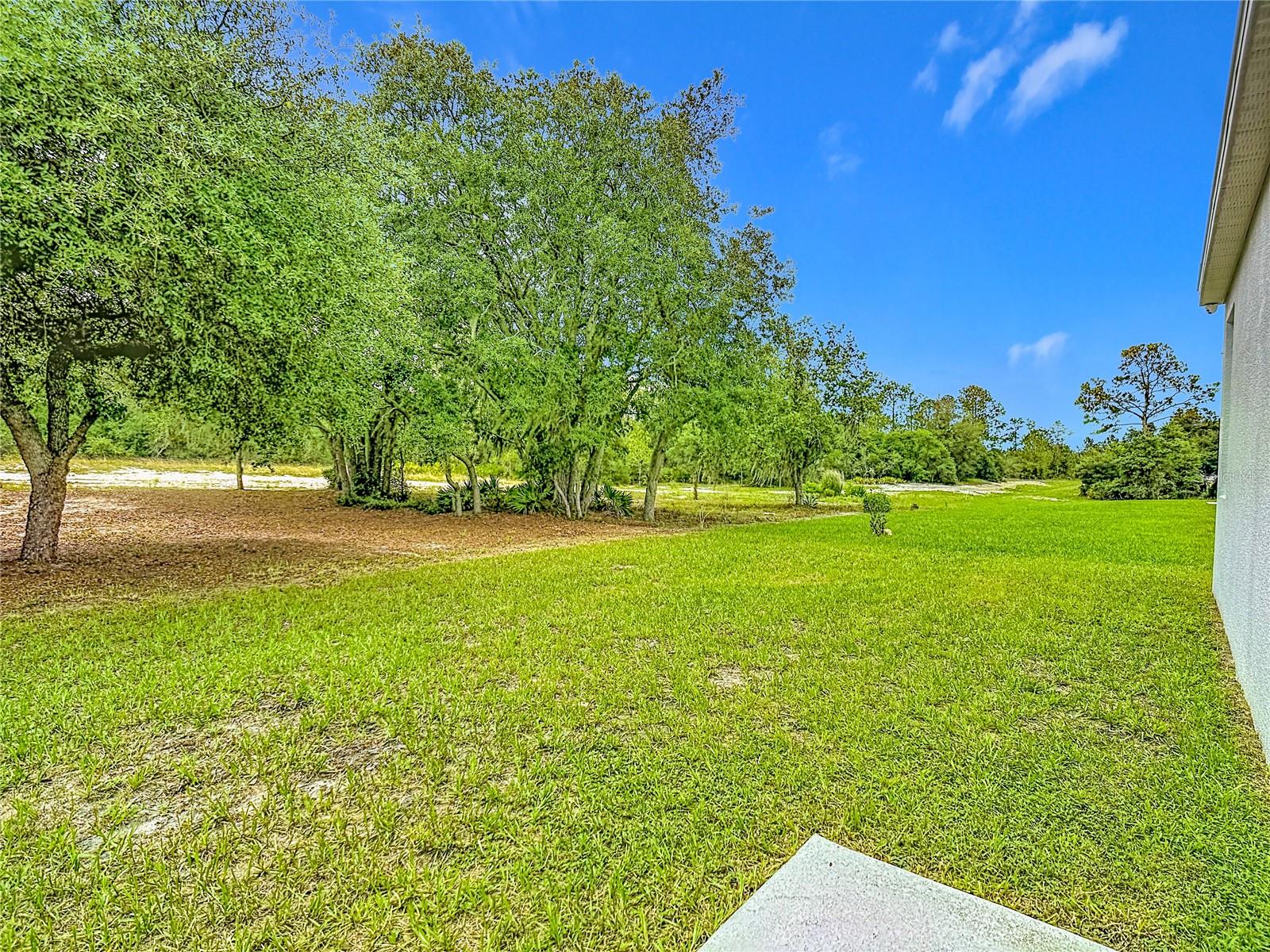 1414 Orlando Ct Property Photo 34