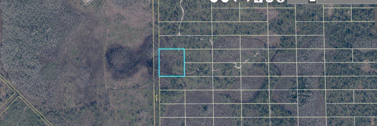407 DILL RD Property Photo 1