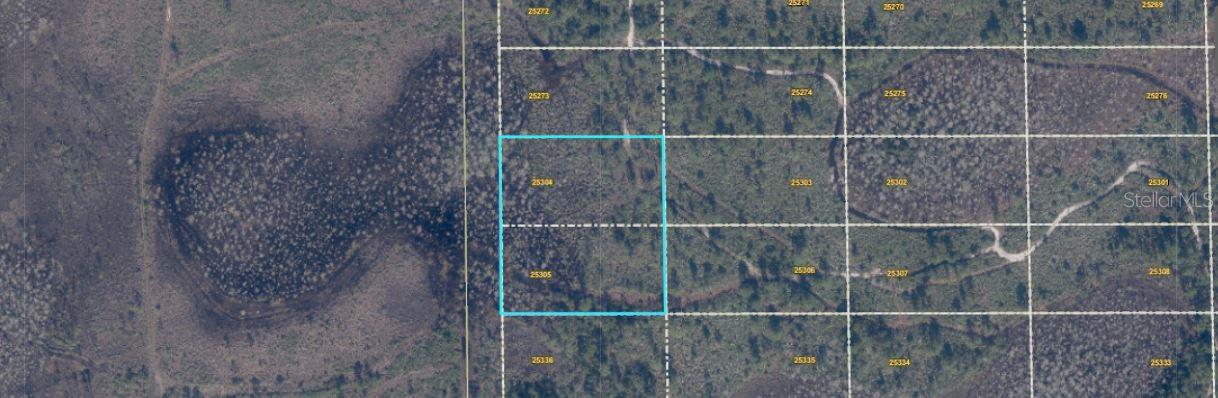 407 Dill Rd Property Photo 4