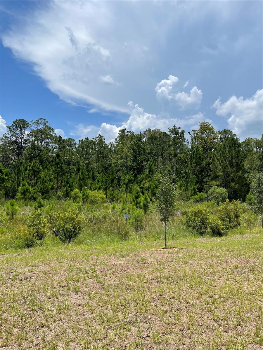 7630 Bent Tree Loop Property Photo 4