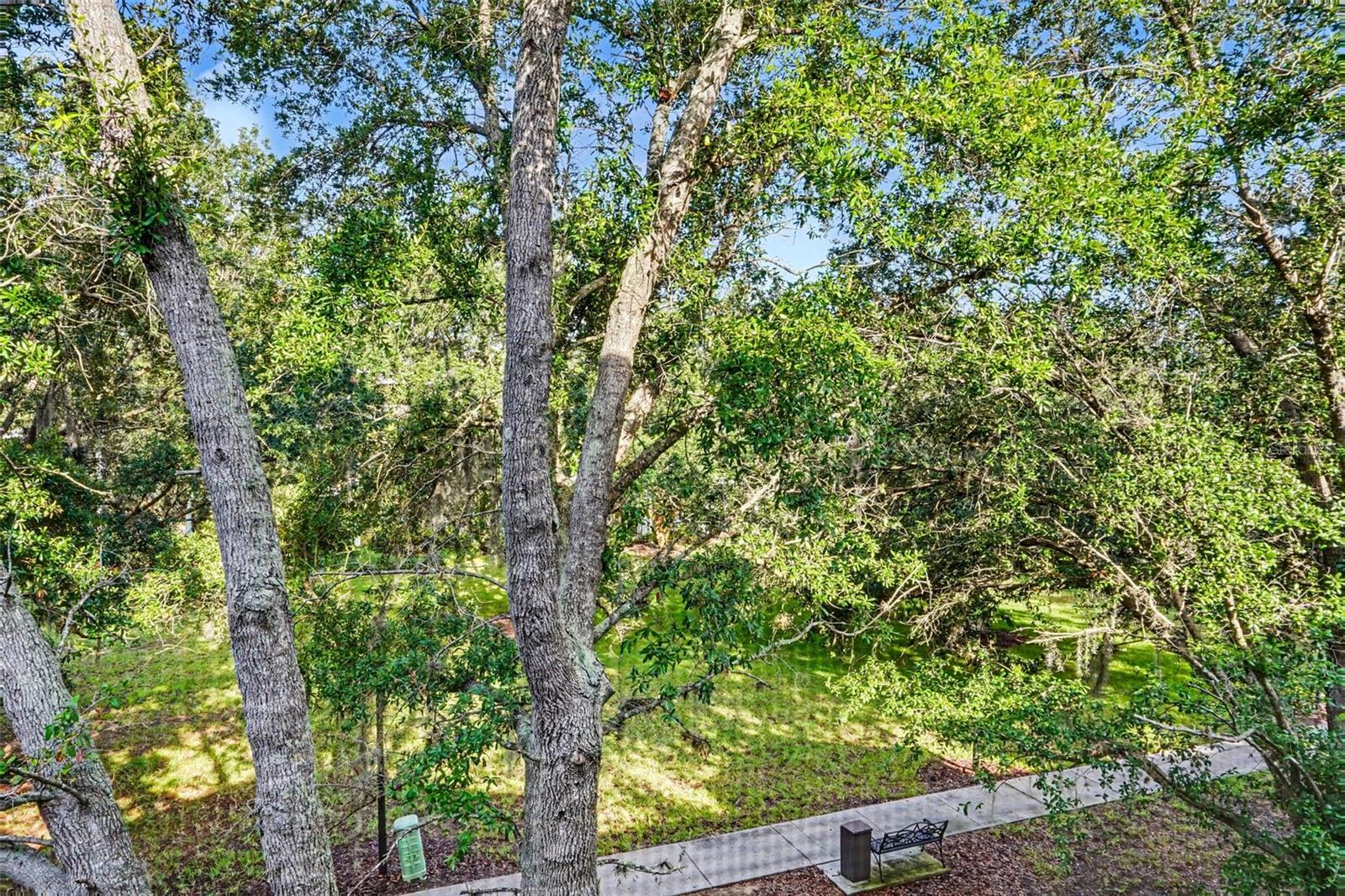 114 Lucaya Loop #114 Property Photo 28
