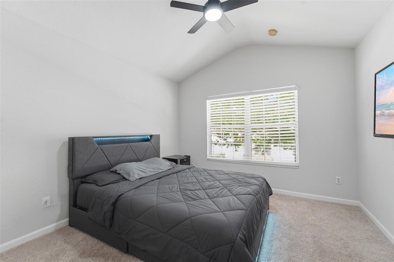 6843 Sperone St Property Photo 23
