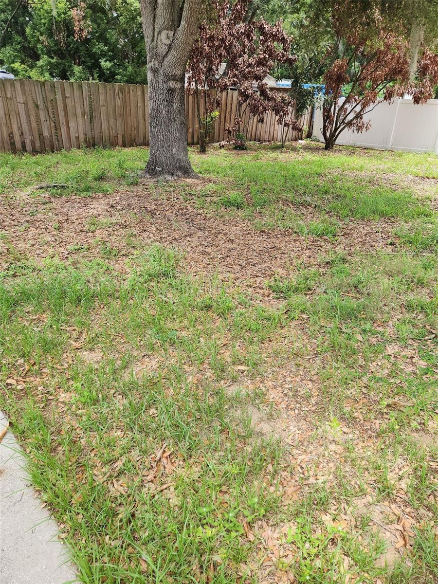 1411 S Mary St Property Photo 19