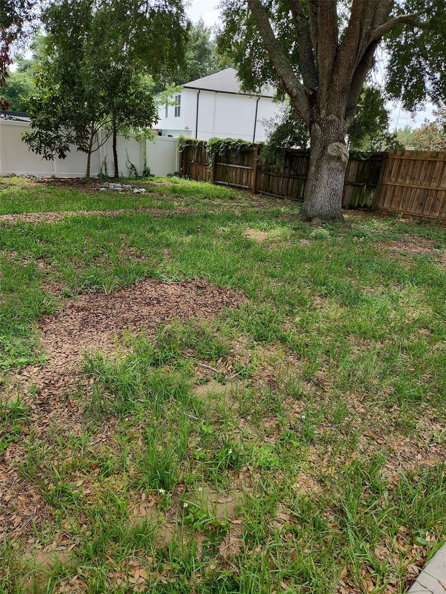 1411 S Mary St Property Photo 20