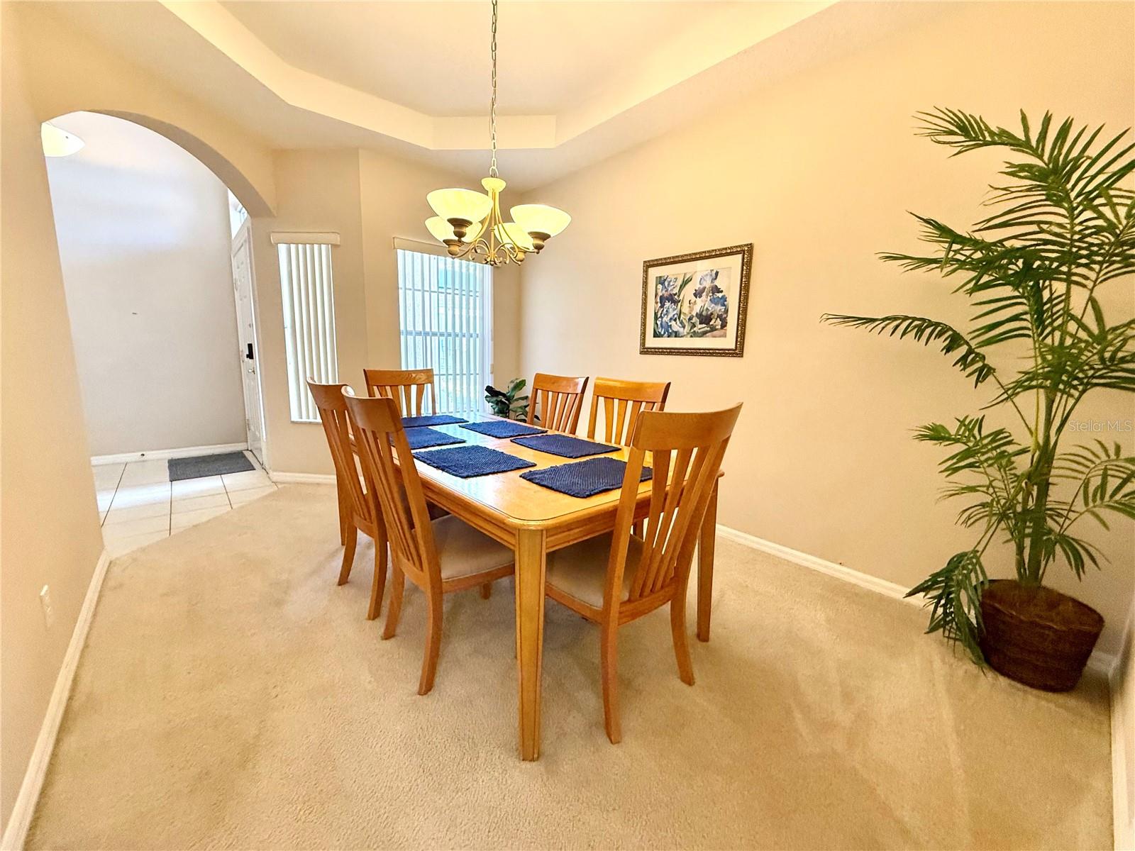 113 Plumoso Loop Property Photo 6