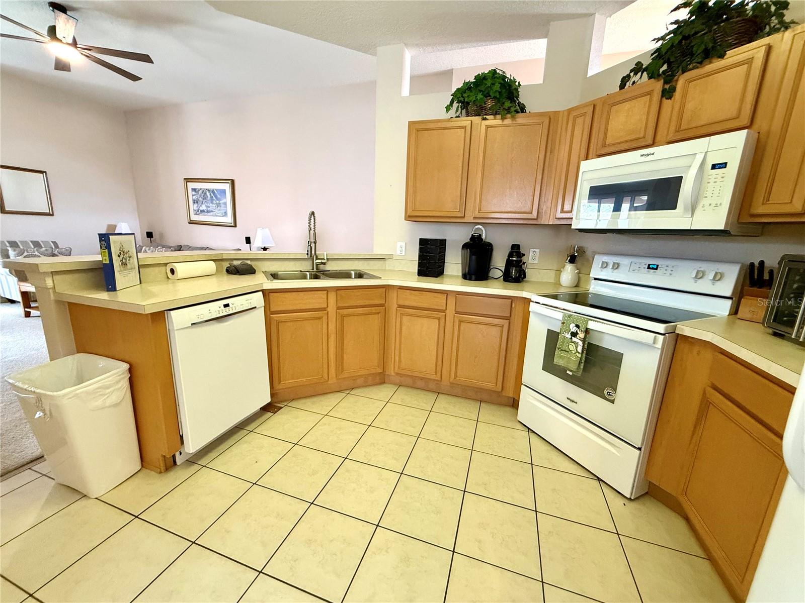 113 Plumoso Loop Property Photo 9