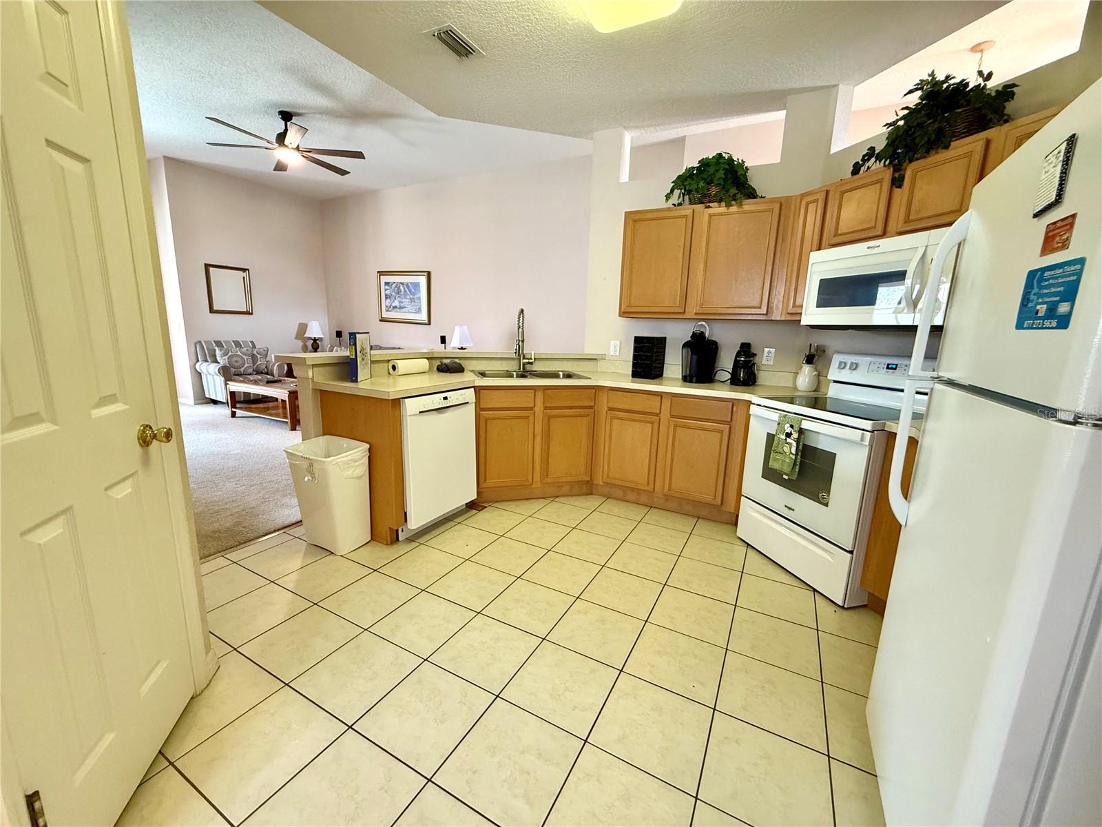 113 Plumoso Loop Property Photo 10