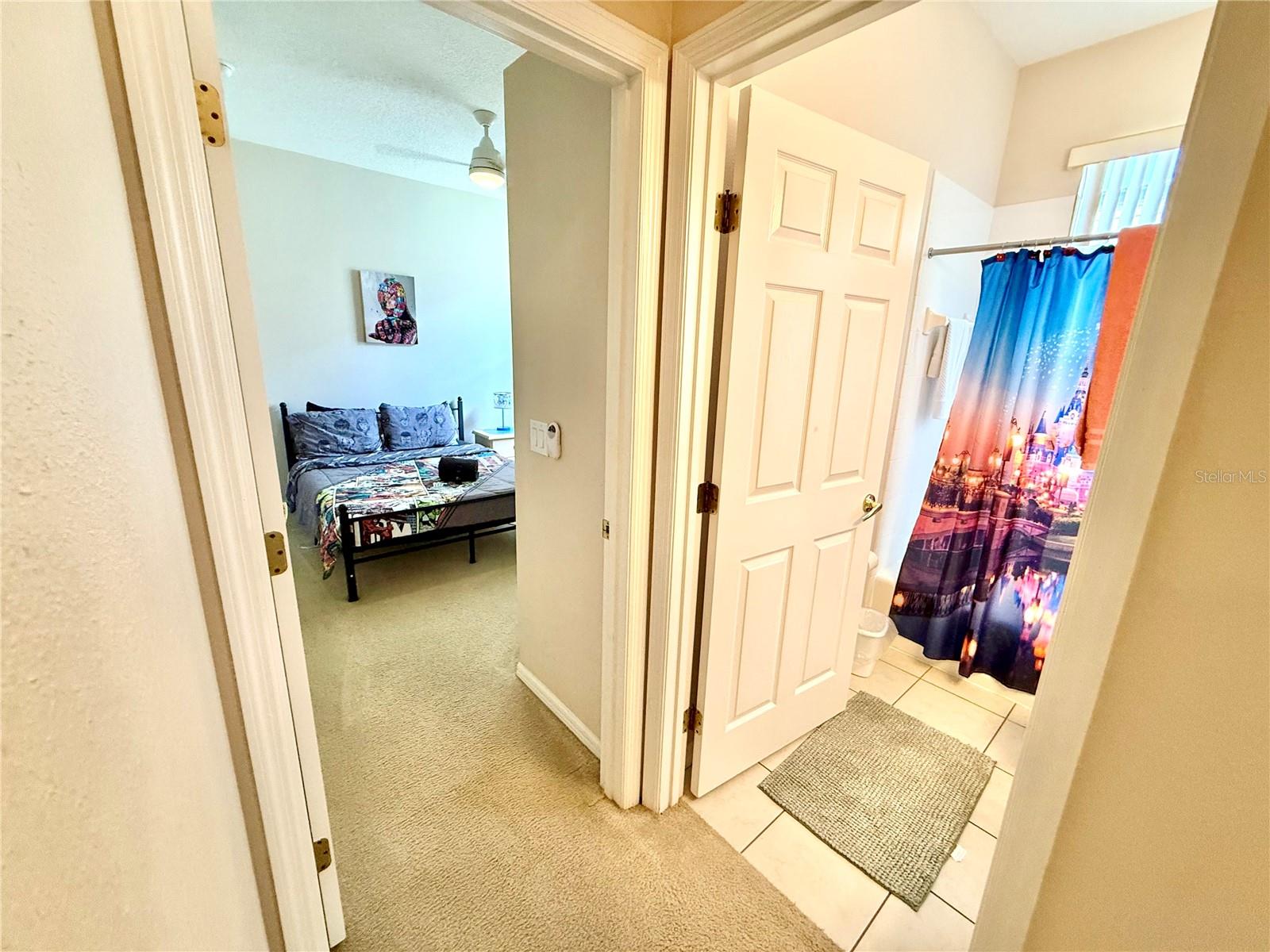 113 Plumoso Loop Property Photo 20
