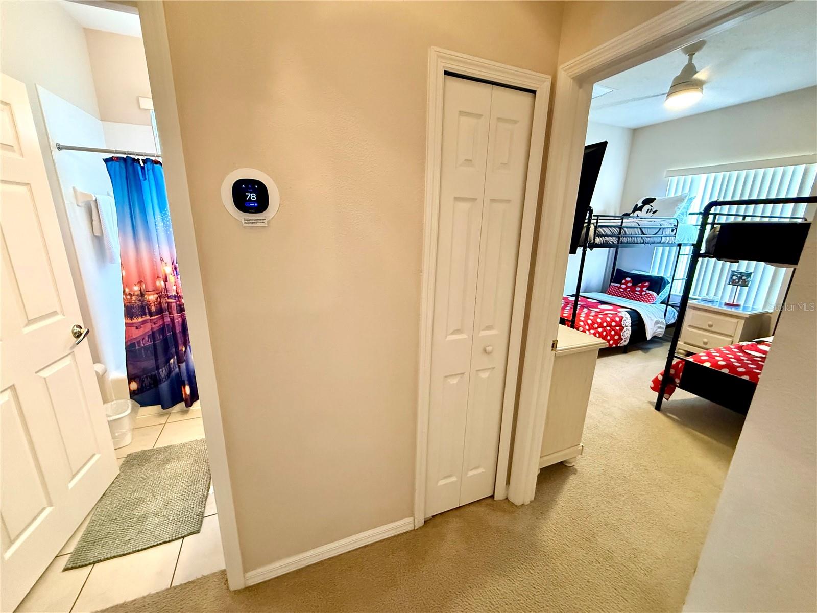 113 Plumoso Loop Property Photo 22