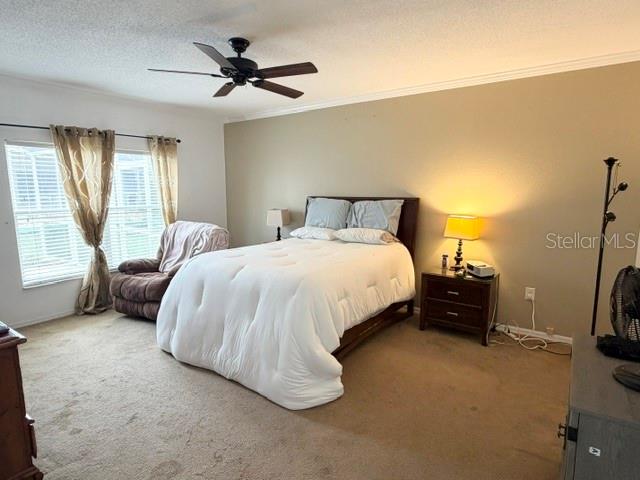 1708 Clubhouse Cv Property Photo 12