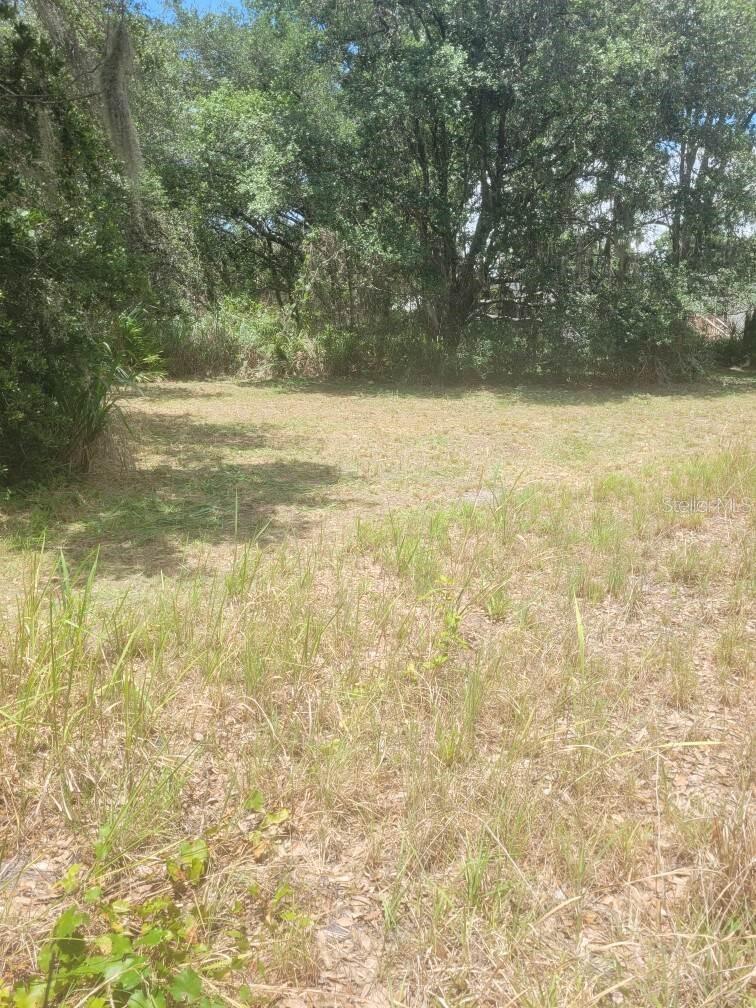 6631 Merle St Property Photo 1