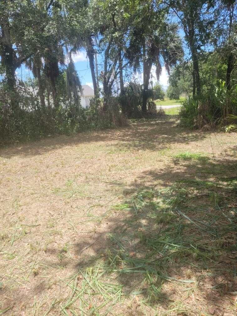 6631 Merle St Property Photo 2