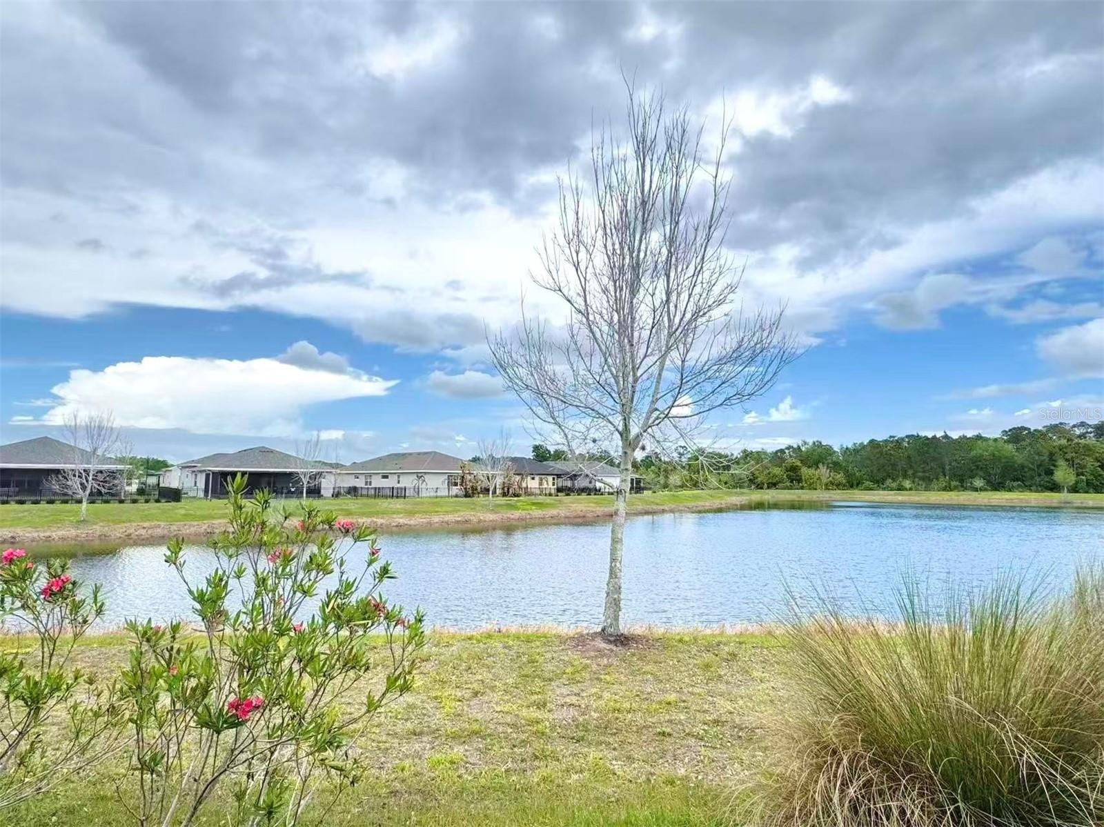 3434 Sagebrush St Property Photo 3