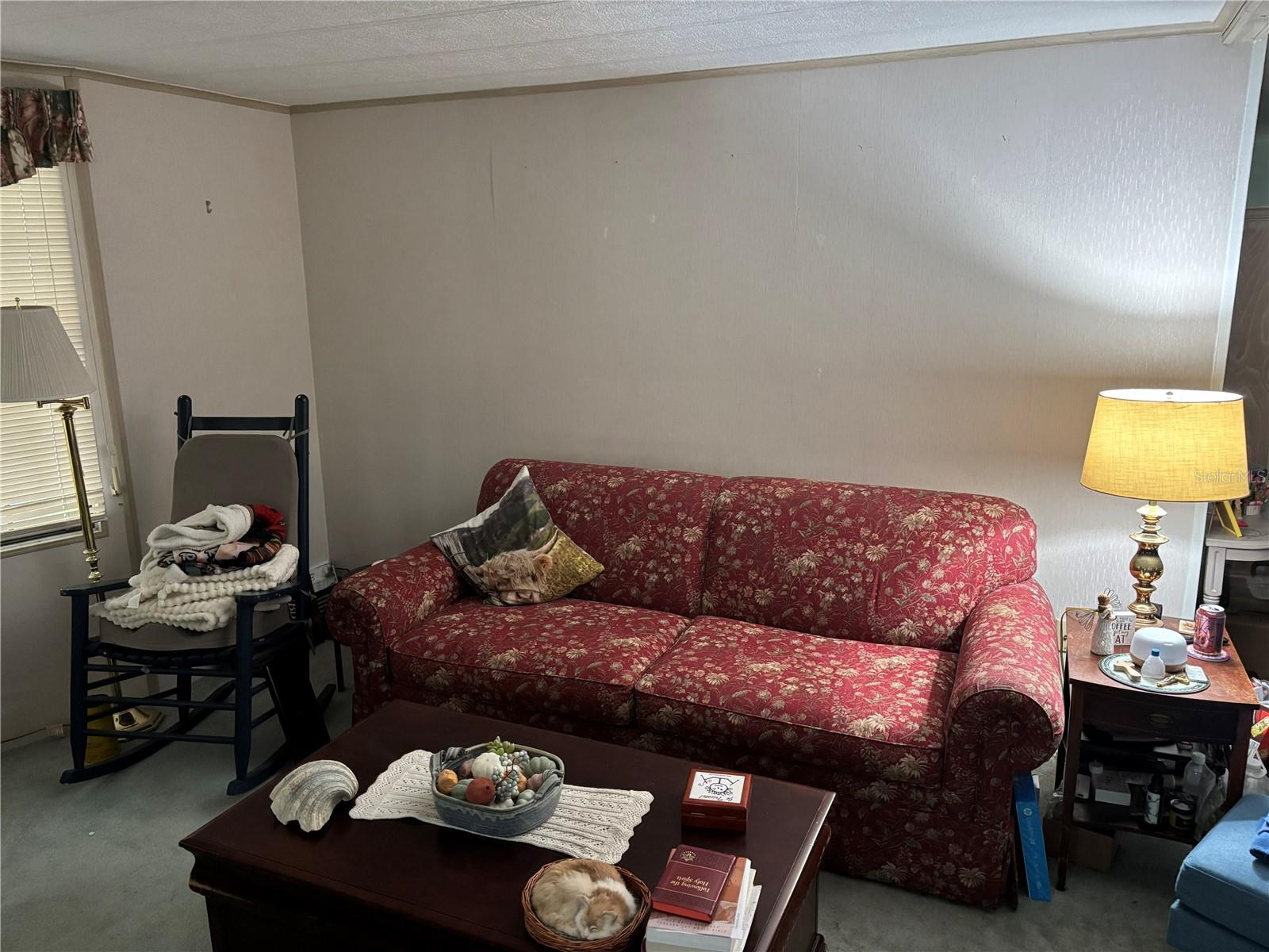 3438 Banberry Cir #1790 Property Photo 12