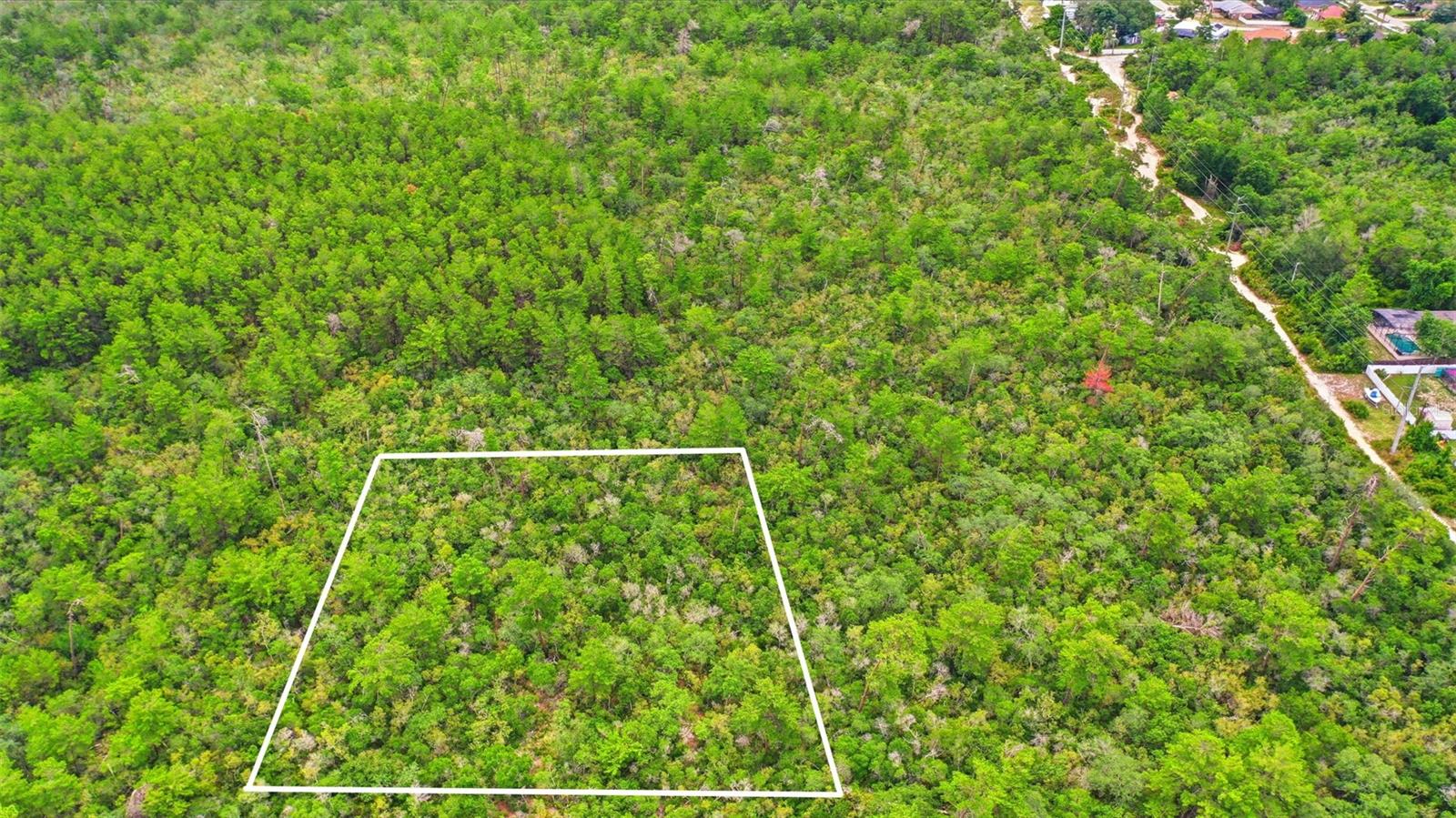 Wolverine (paper) Ave Property Photo 15