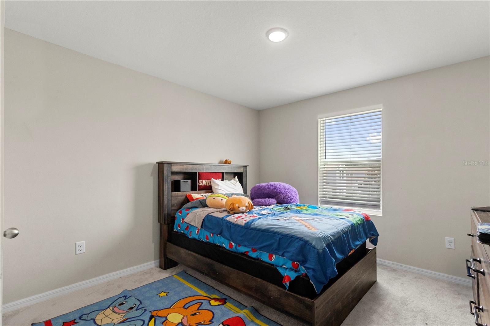 13109 Fruitville Way Property Photo 19