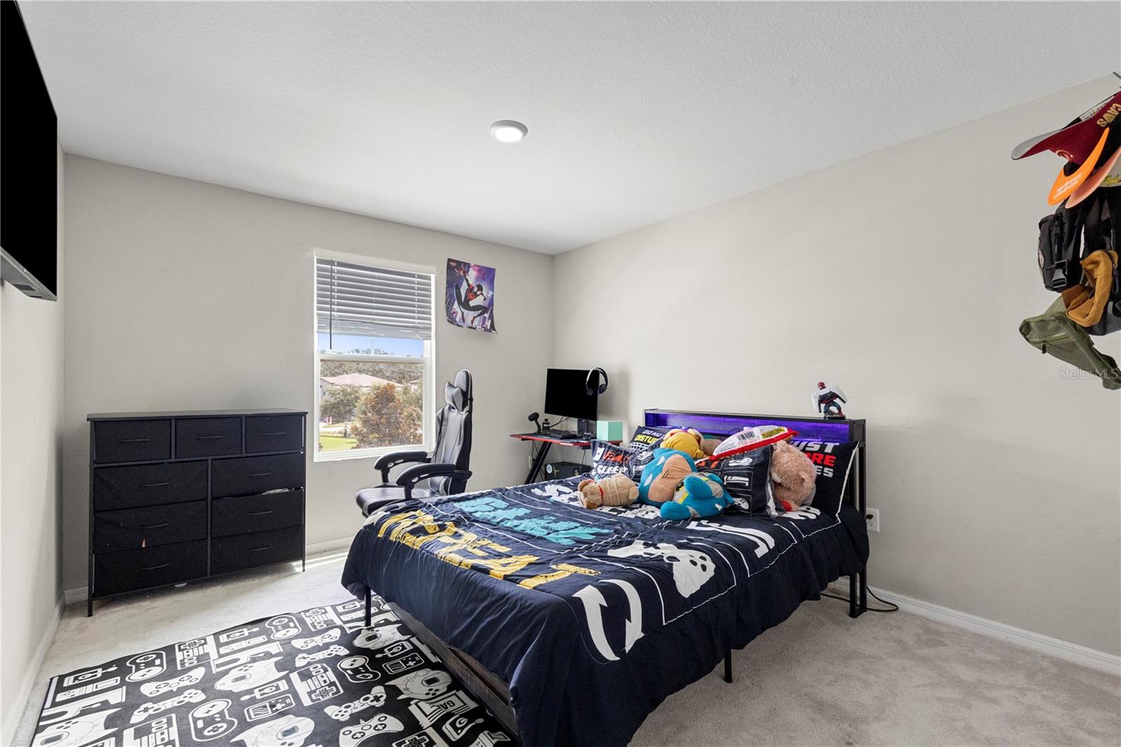13109 Fruitville Way Property Photo 26