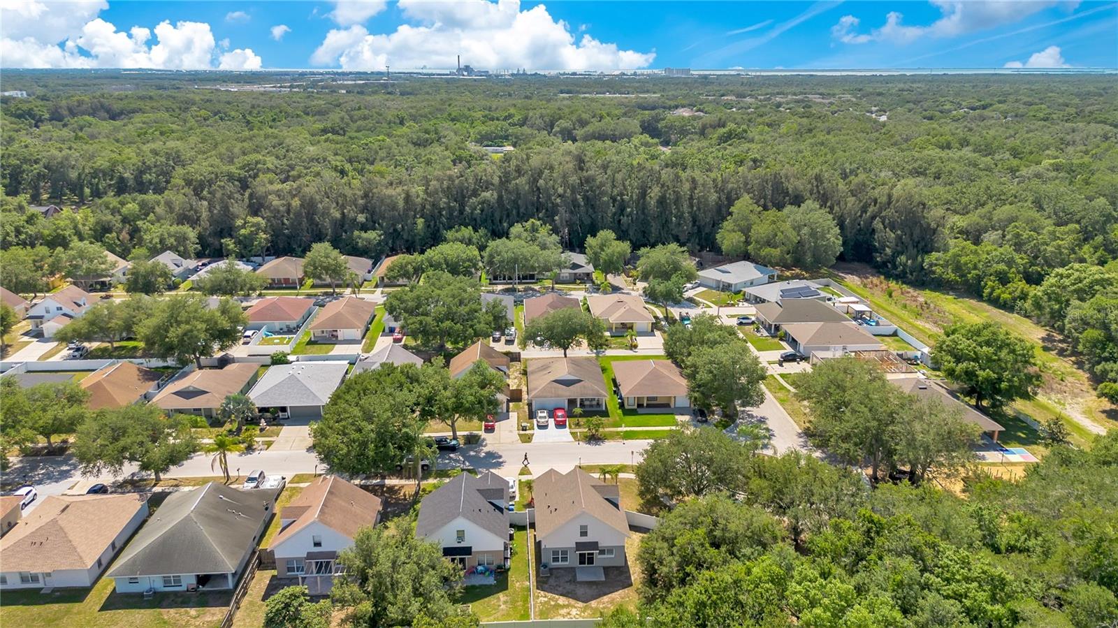 10225 Summerview Cir Property Photo 29