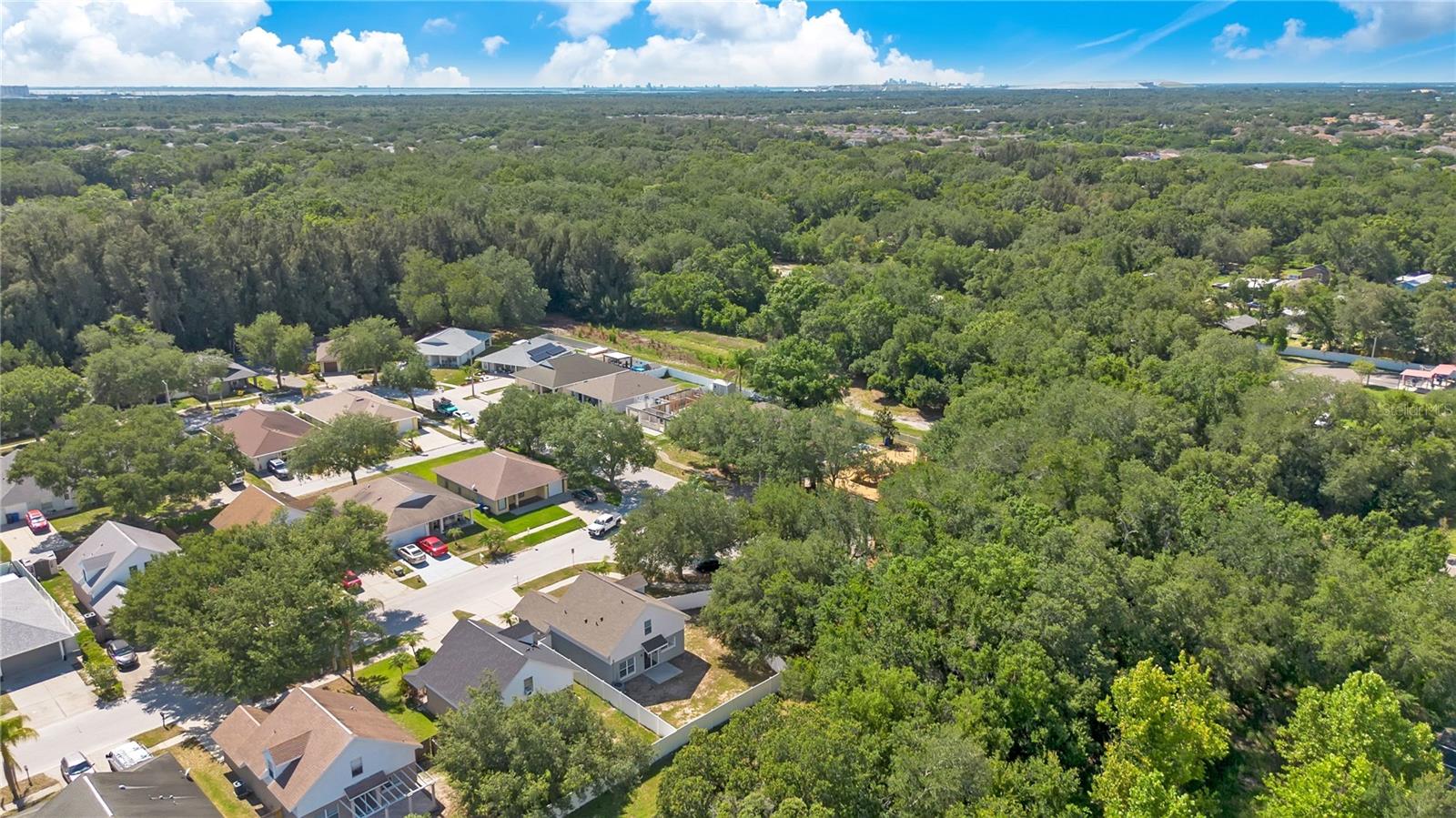 10225 Summerview Cir Property Photo 30