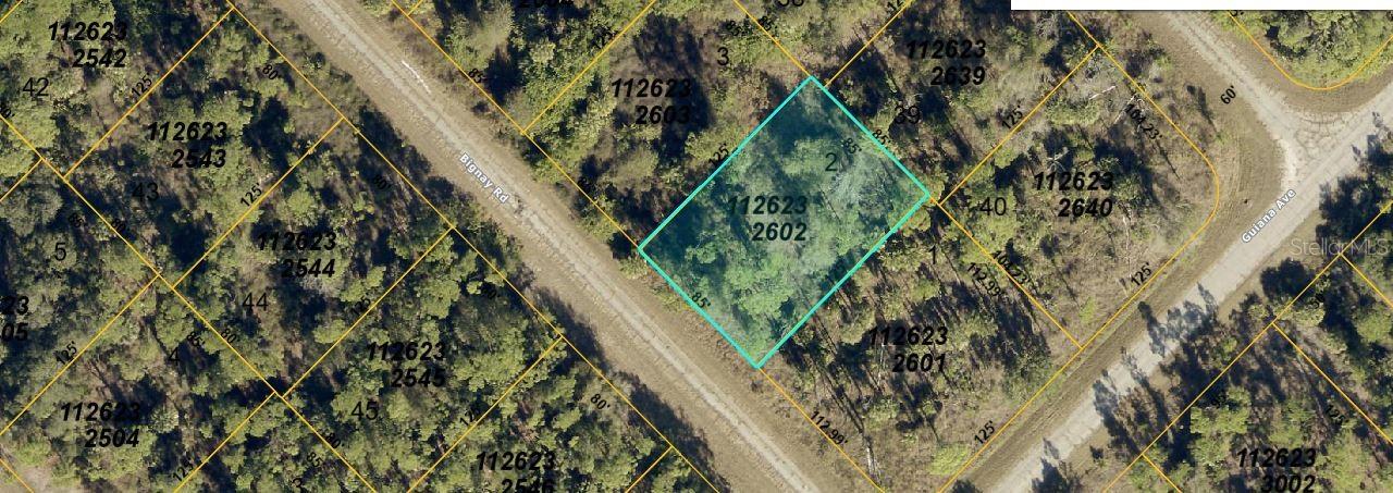 Bignay Rd Property Photo 2