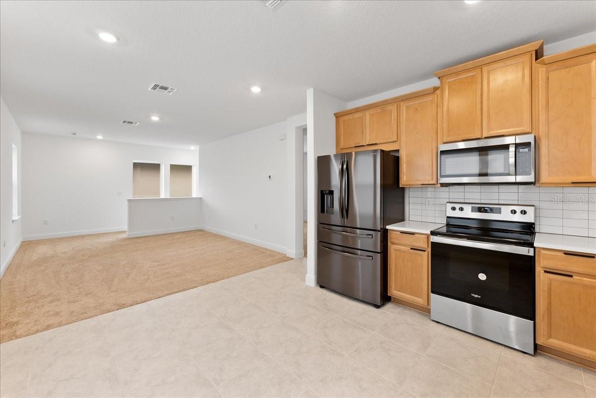 9741 Neruda St Property Photo 51
