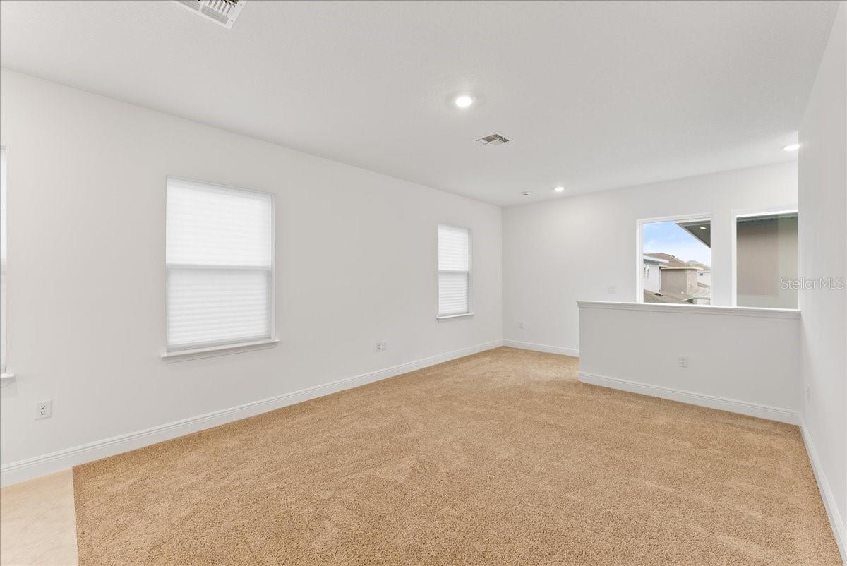 9741 Neruda St Property Photo 54
