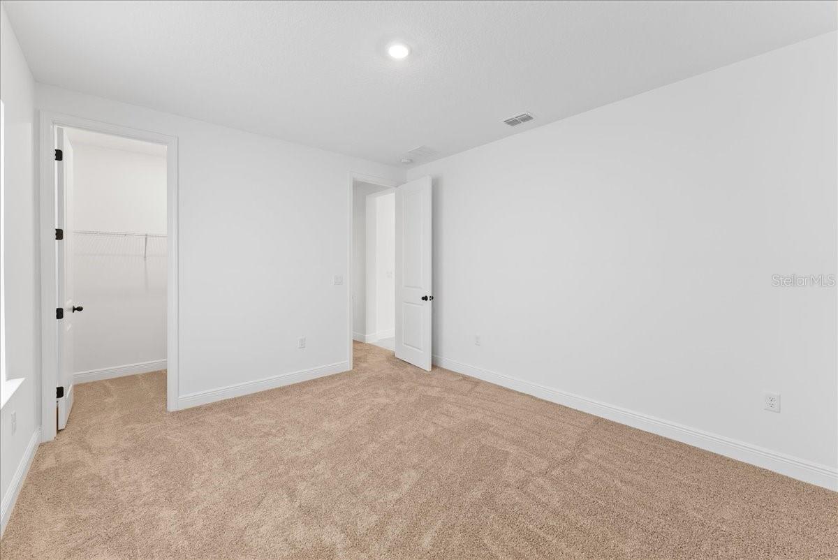 9741 Neruda St Property Photo 58
