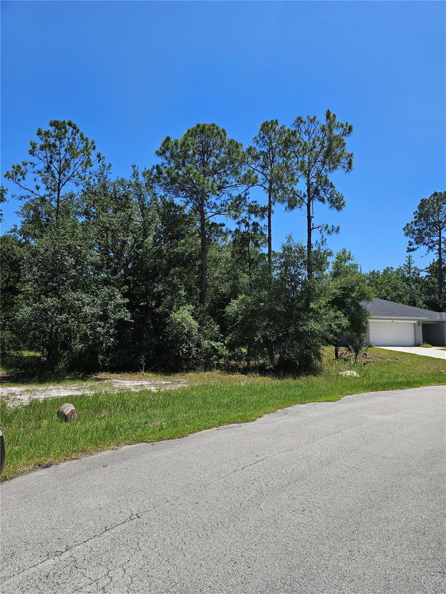 223 Starling Ct Property Photo 1