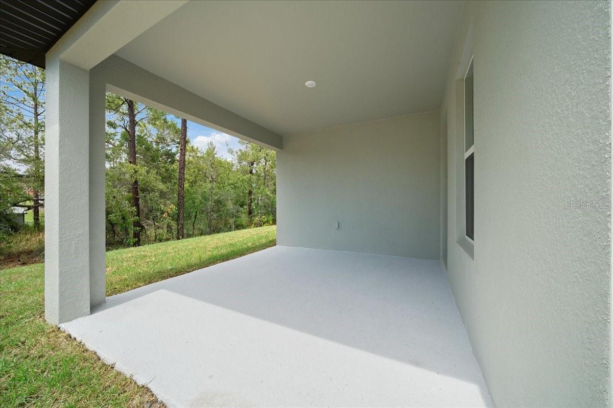 10325 Dotted Wren Ave Property Photo 61