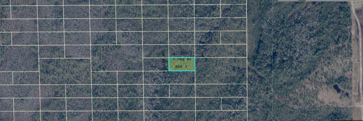Dill Rd Property Photo 3
