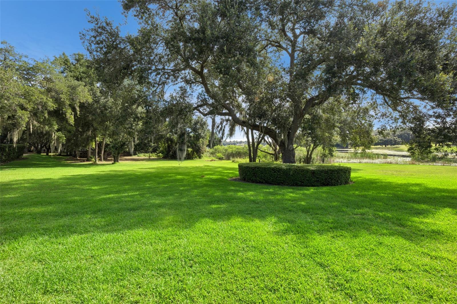 605 Old Mount Dora Rd Property Photo 49