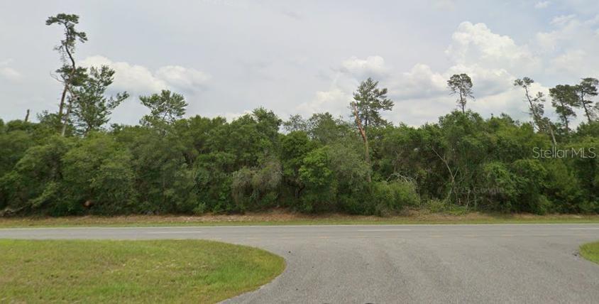 TBD MARION OAKS BLVD Property Photo 1