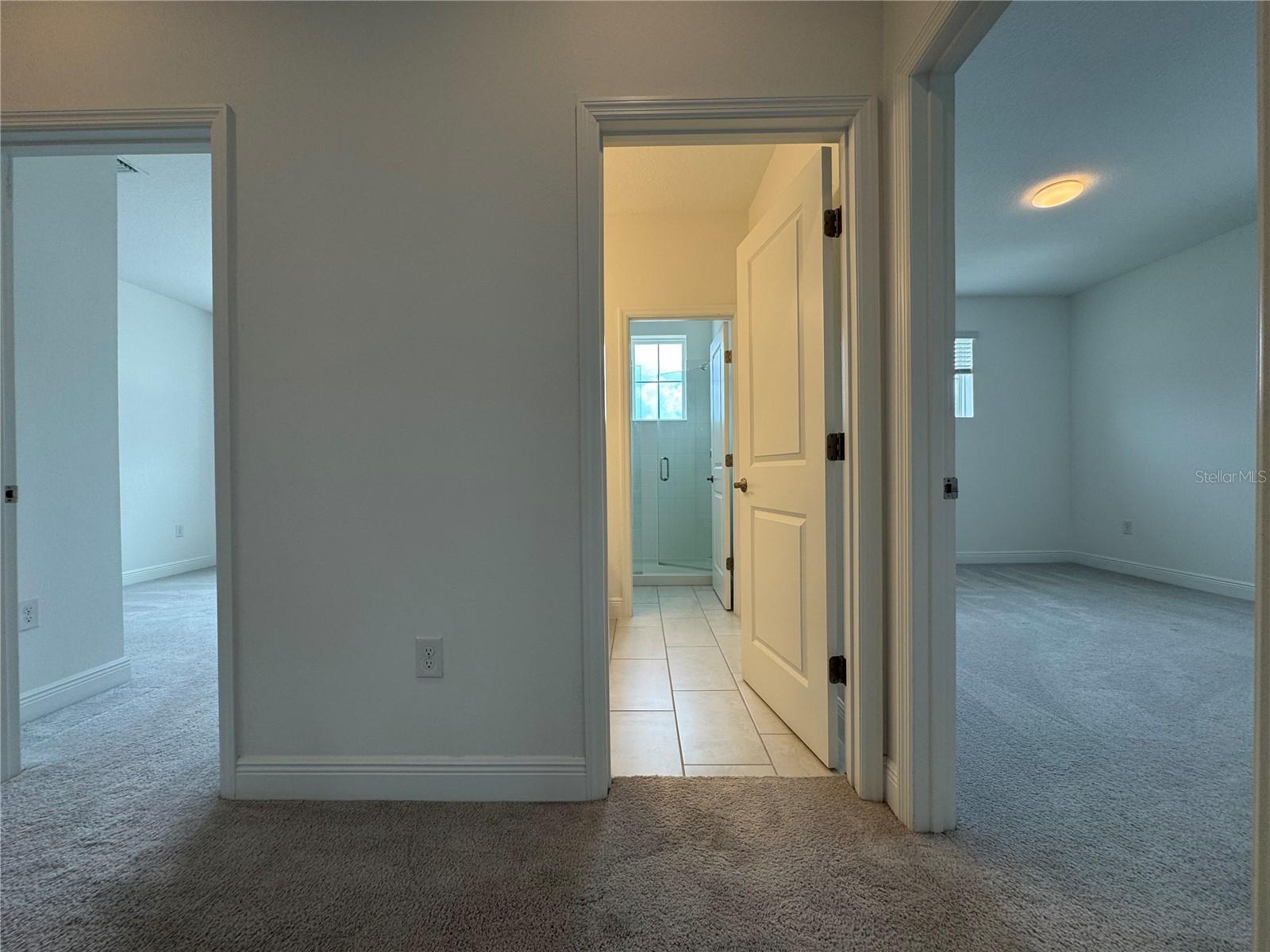 15741 Sweet Lemon Way Property Photo 50