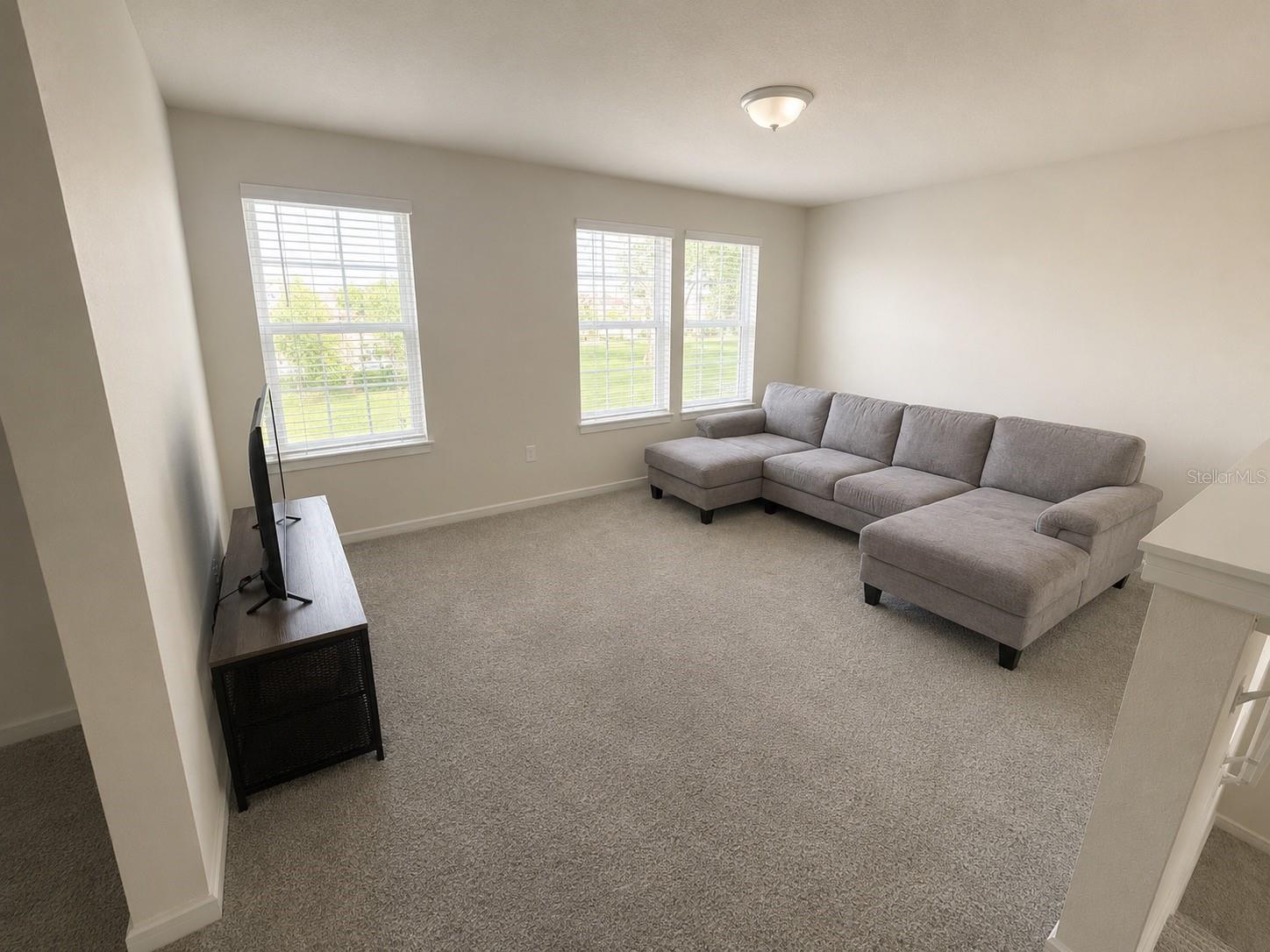 4086 Lush View Dr Property Photo 21