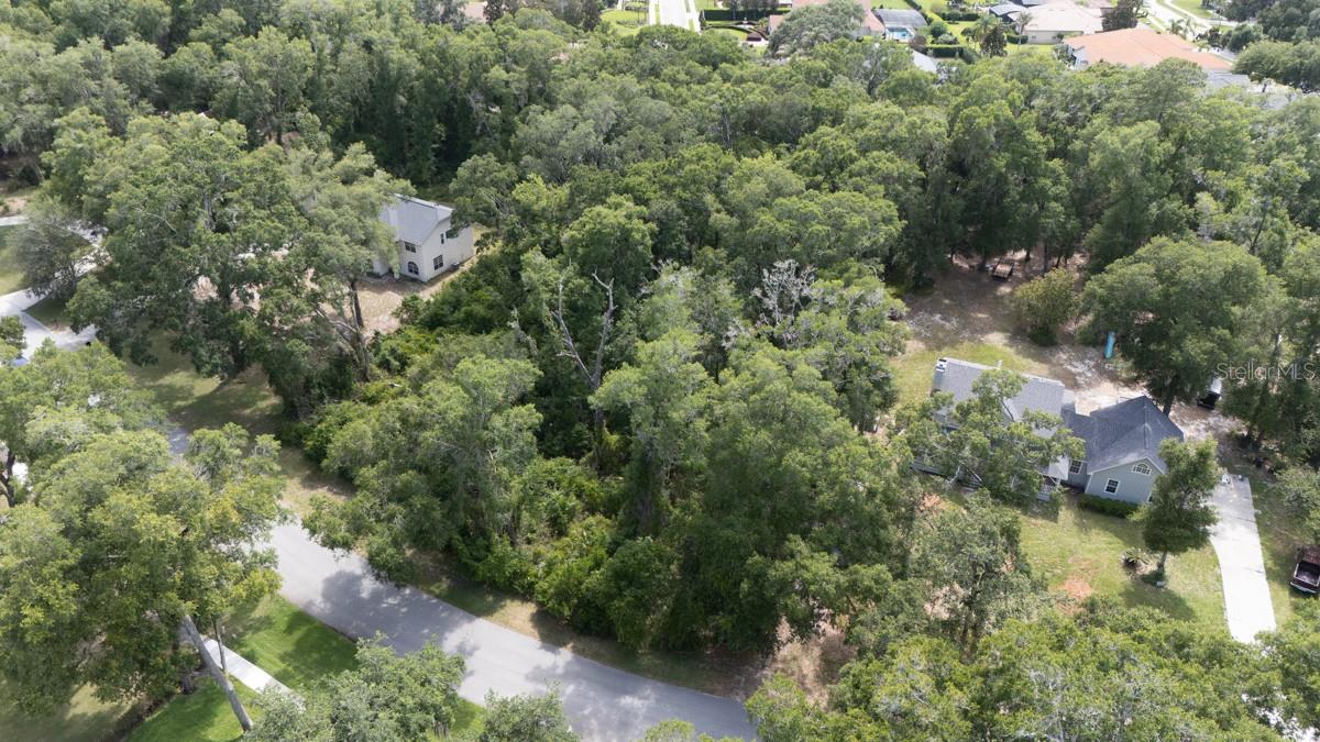 160 Steeplechase Cir Property Photo 4