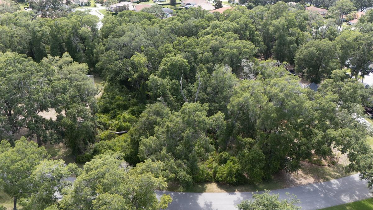 160 Steeplechase Cir Property Photo 5