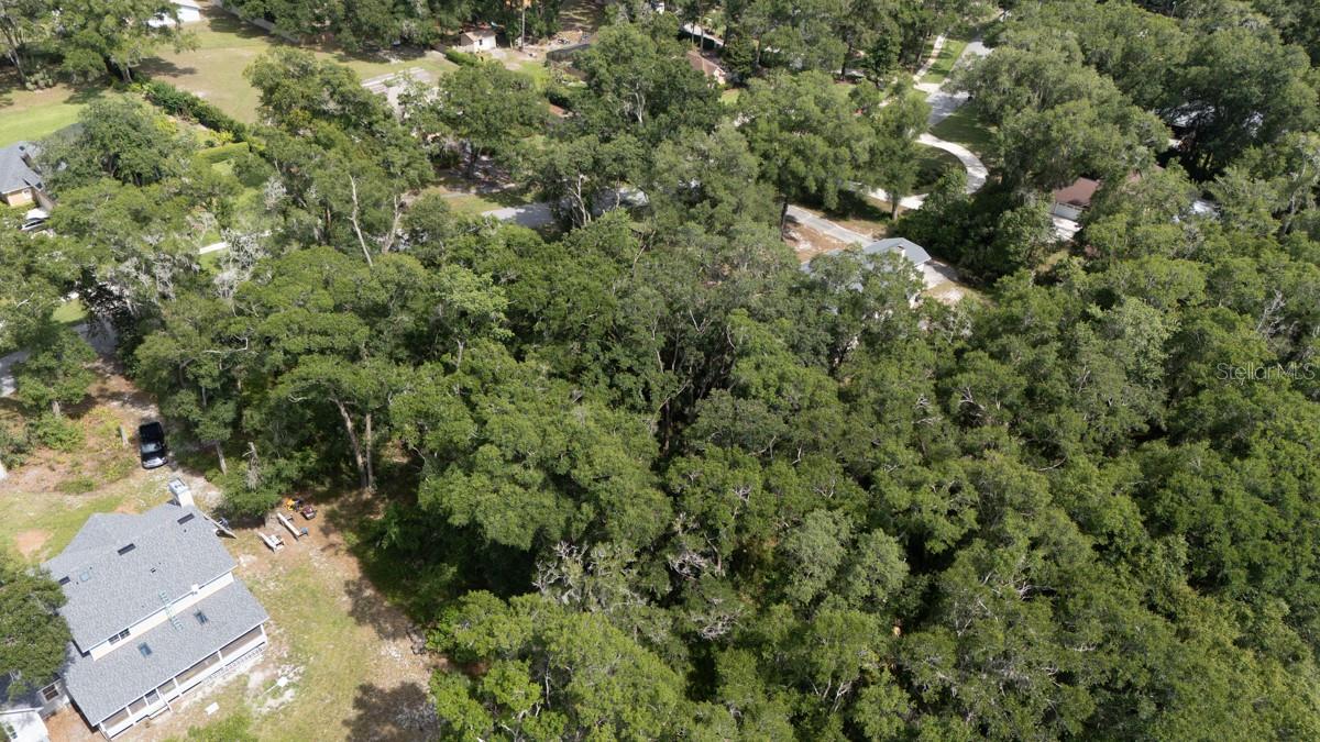 160 Steeplechase Cir Property Photo 8