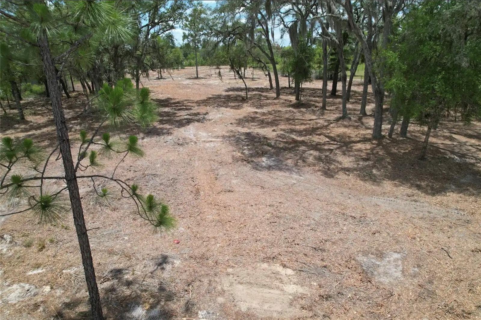 Ne 56th St Property Photo 3