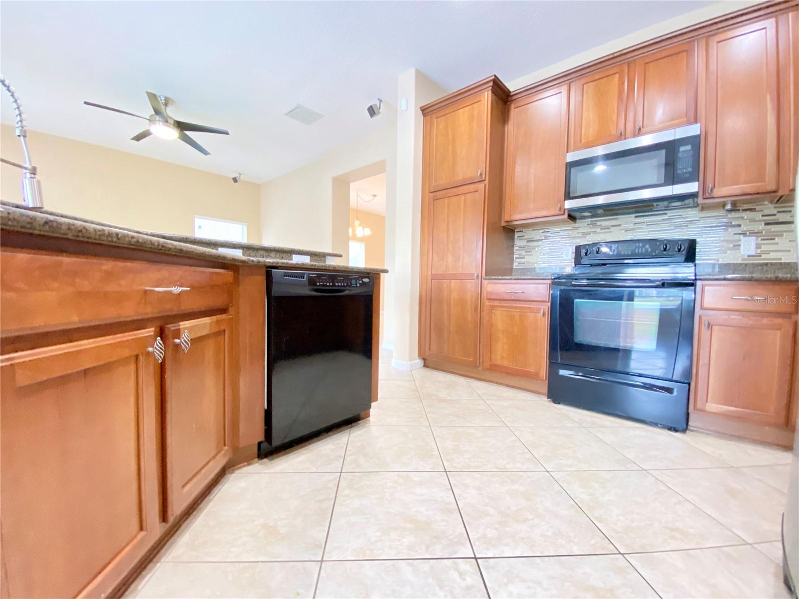 10973 Willow Ridge Loop Property Photo 18
