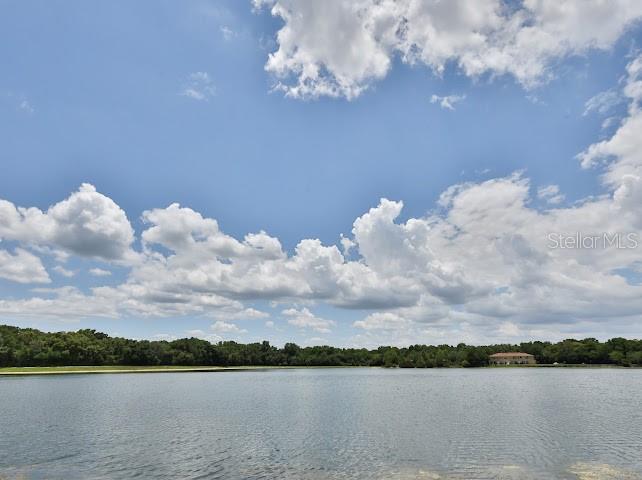 3893 Gliding Pl Property Photo 21