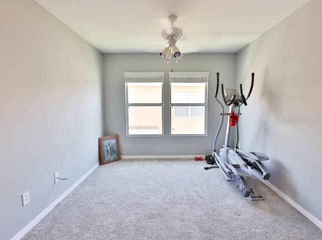 3893 Gliding Pl Property Photo 24