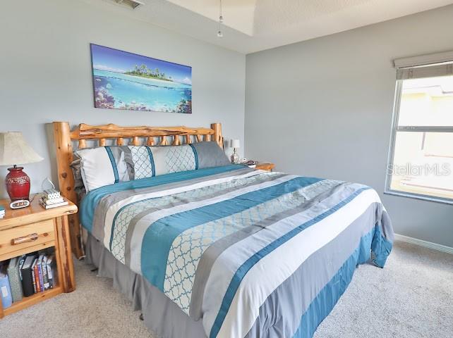 3893 Gliding Pl Property Photo 29