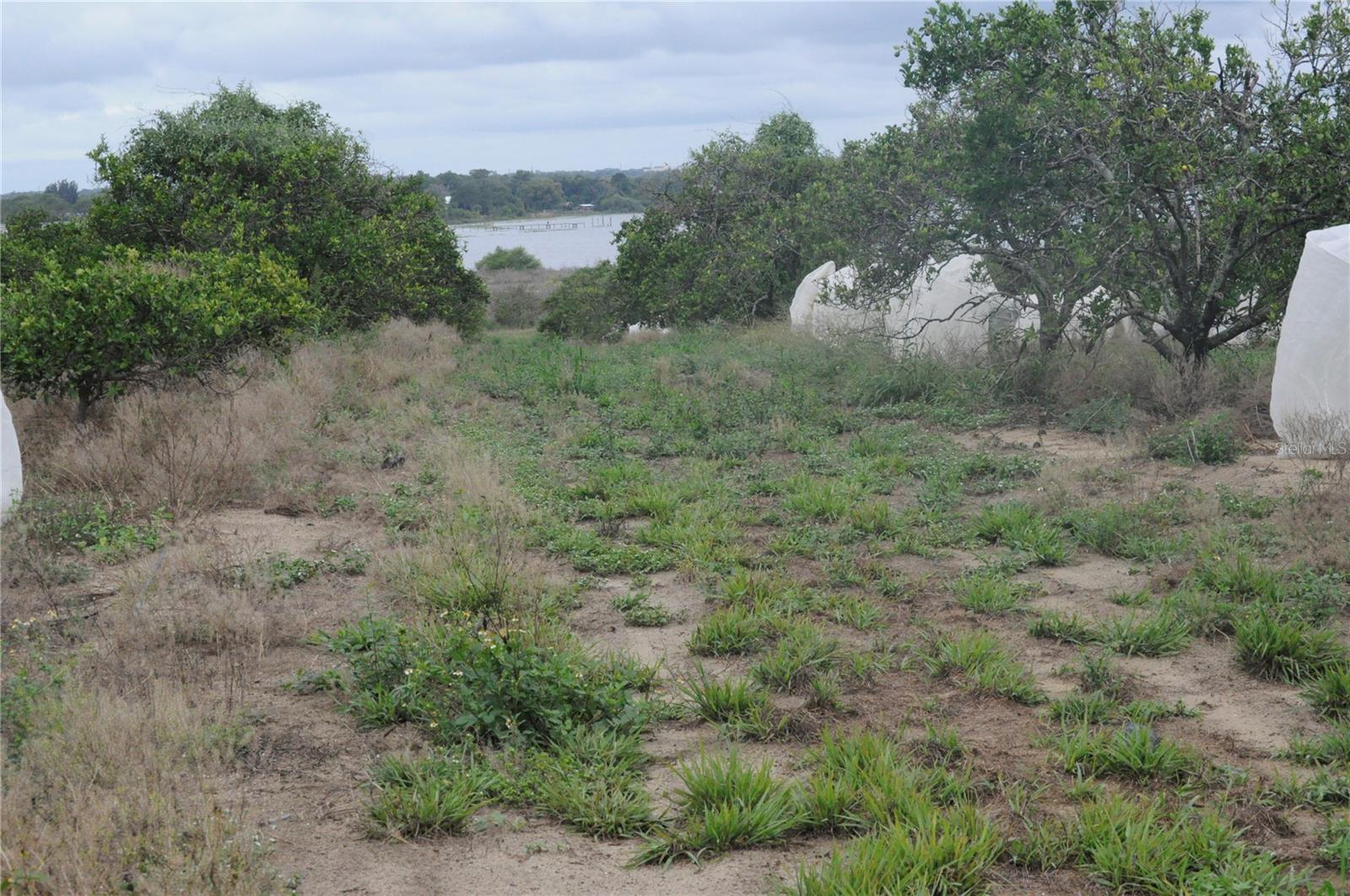 3961 Byron Blvd Property Photo 1