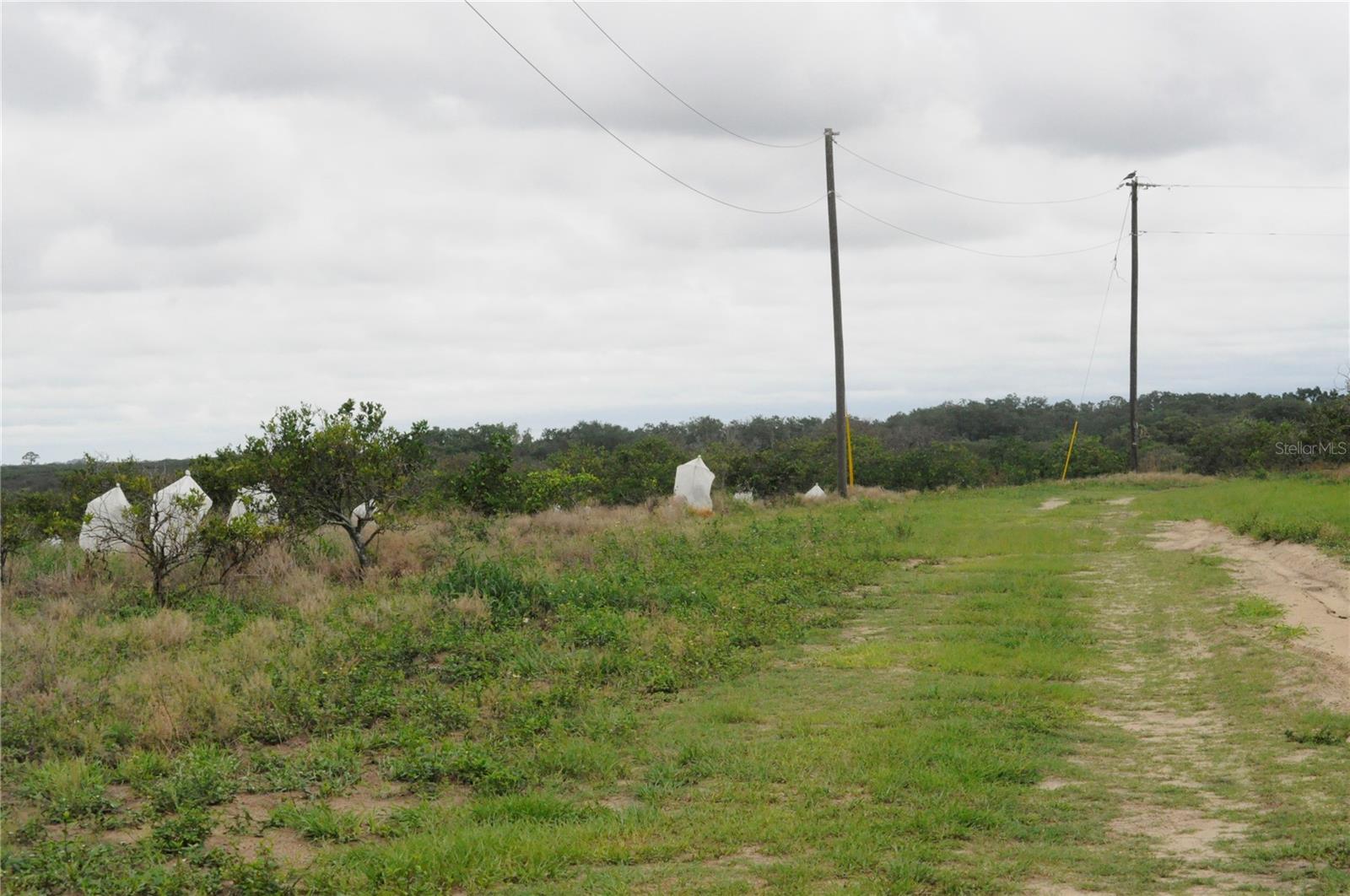 3961 Byron Blvd Property Photo 3