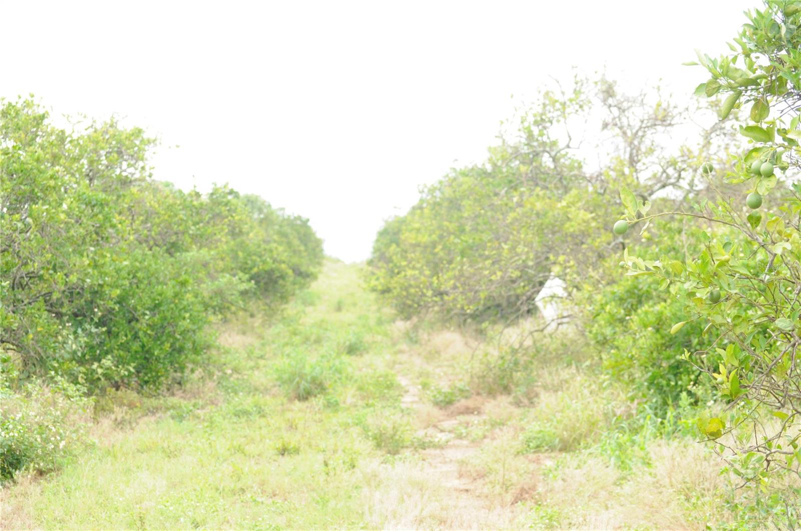 3961 Byron Blvd Property Photo 7