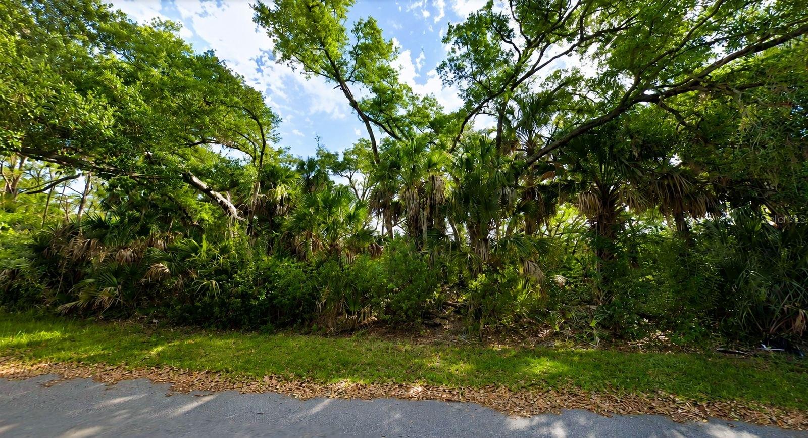 1480 Canterbury Ln Property Photo 1