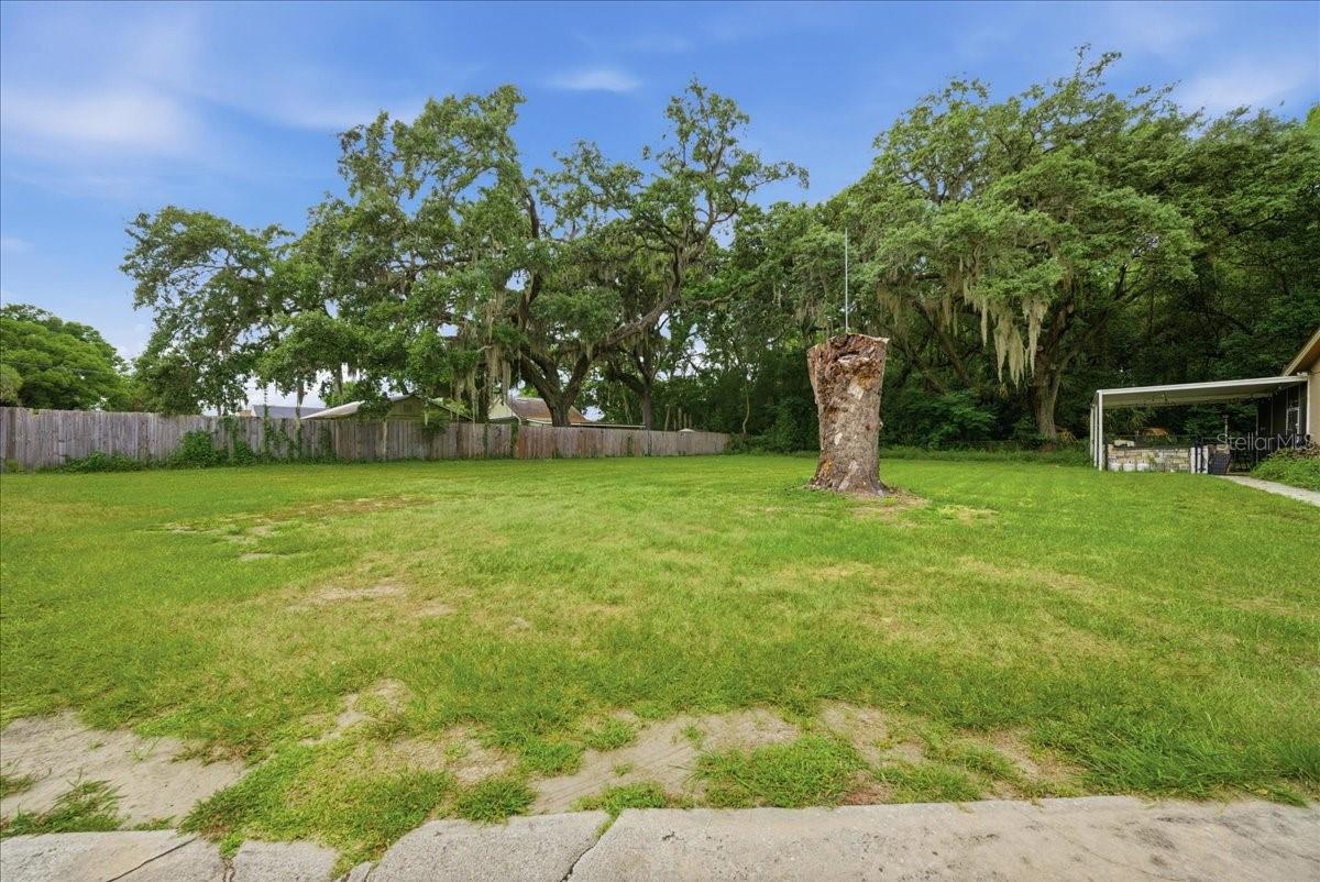 8095 Rose Ave Property Photo 50