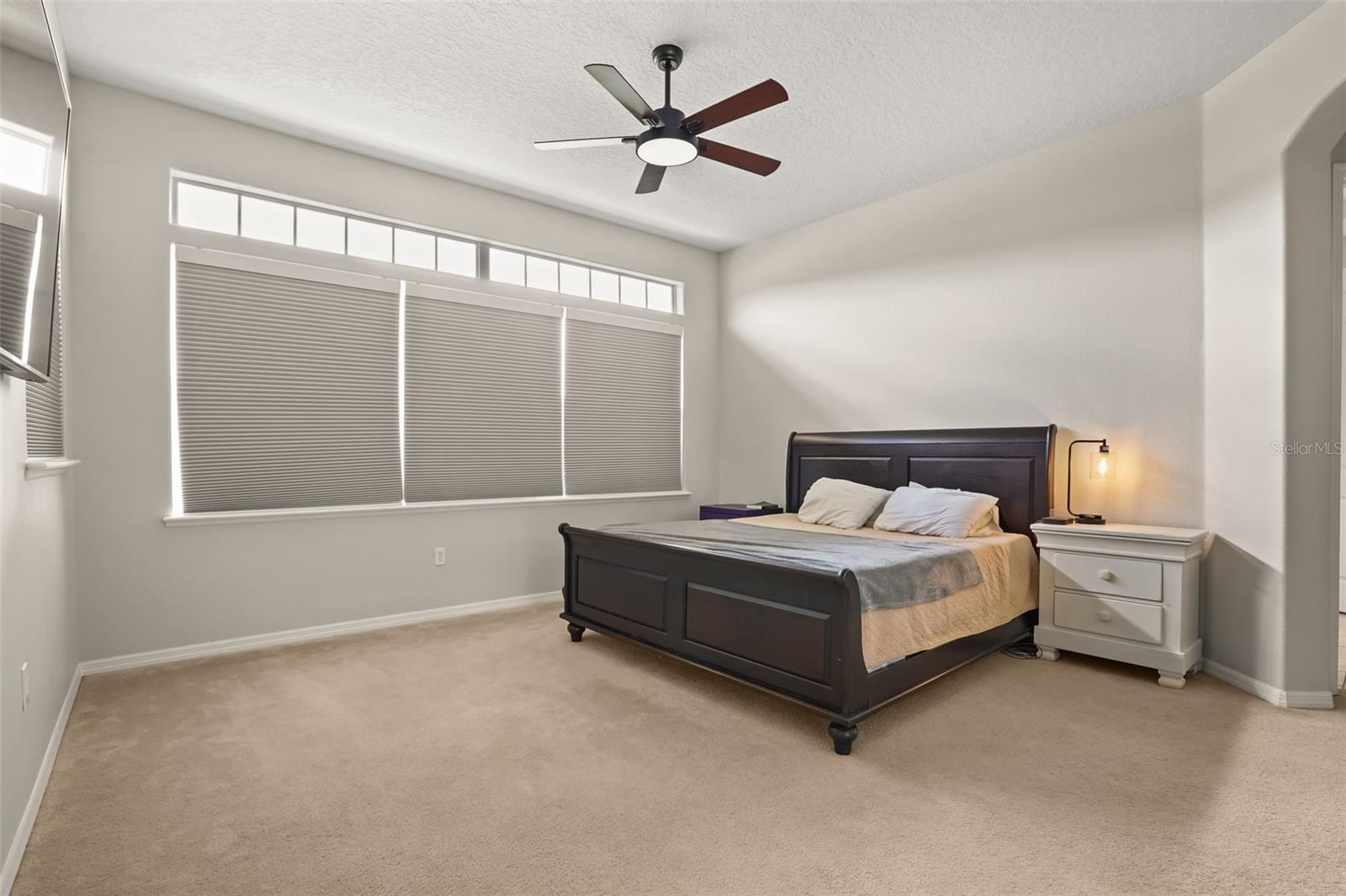 1699 Swallowtail Ln Property Photo 22