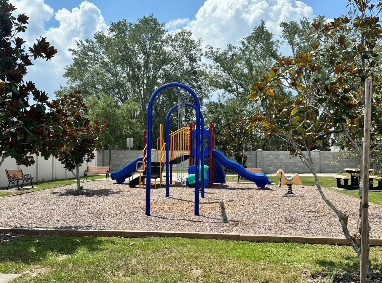 12113 Via Caselli Ln Property Photo 35